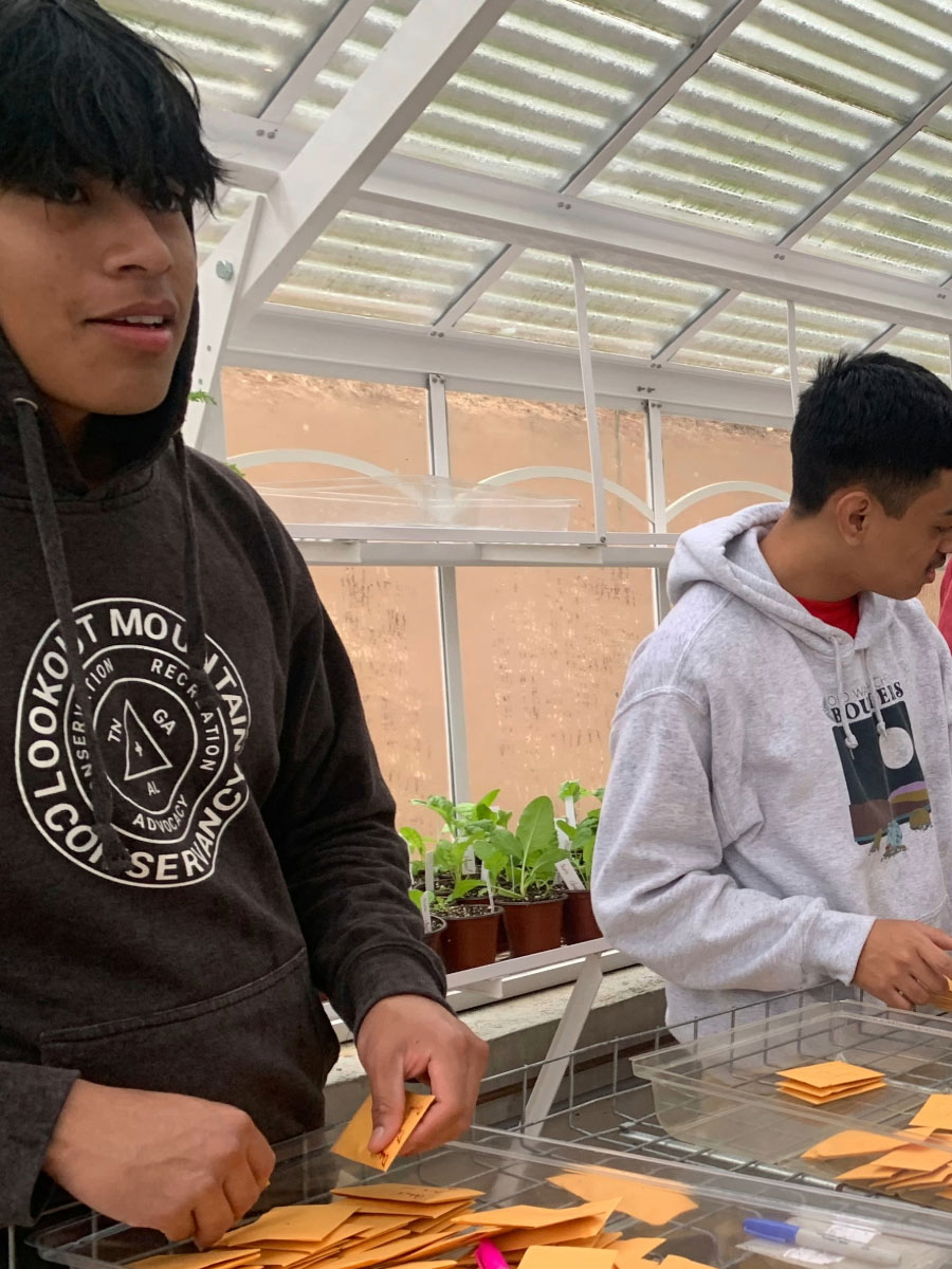 A young man in a gray hoodie speaks working in a greenhouse