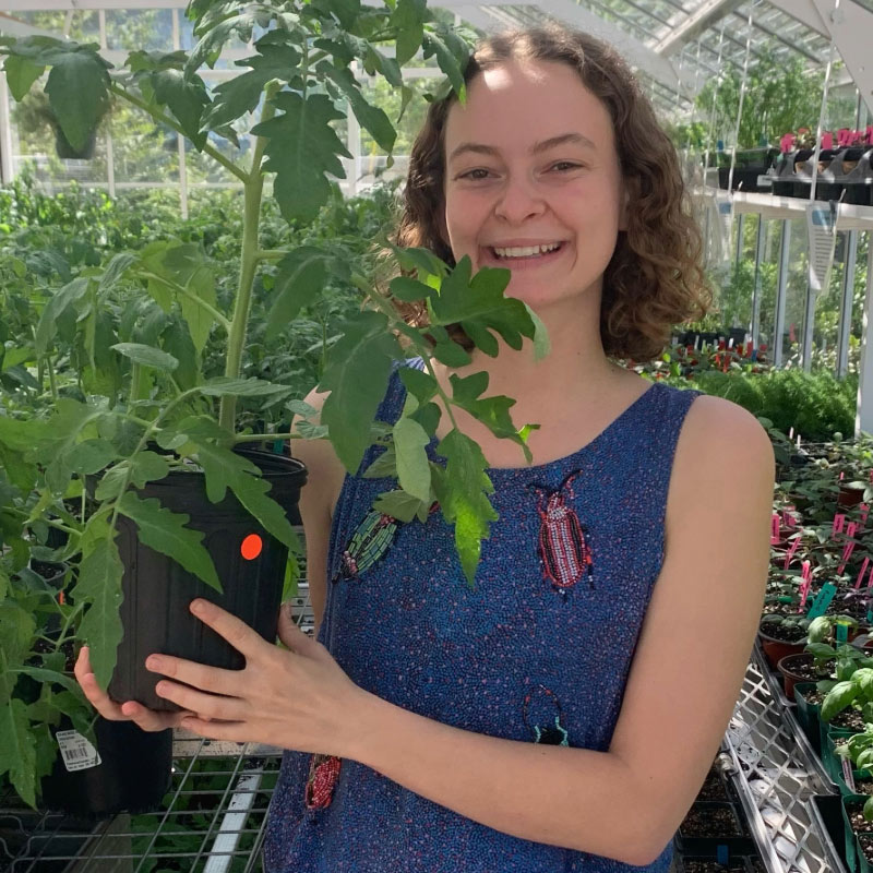 A young woman in a blue jumper with curly brown hair and white skin poses holding a plant in a greenhouse