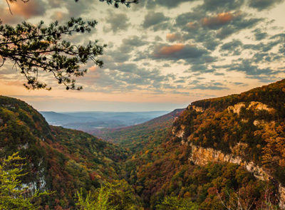 Cloudland Canyon Fall Colors overlooking the canyon