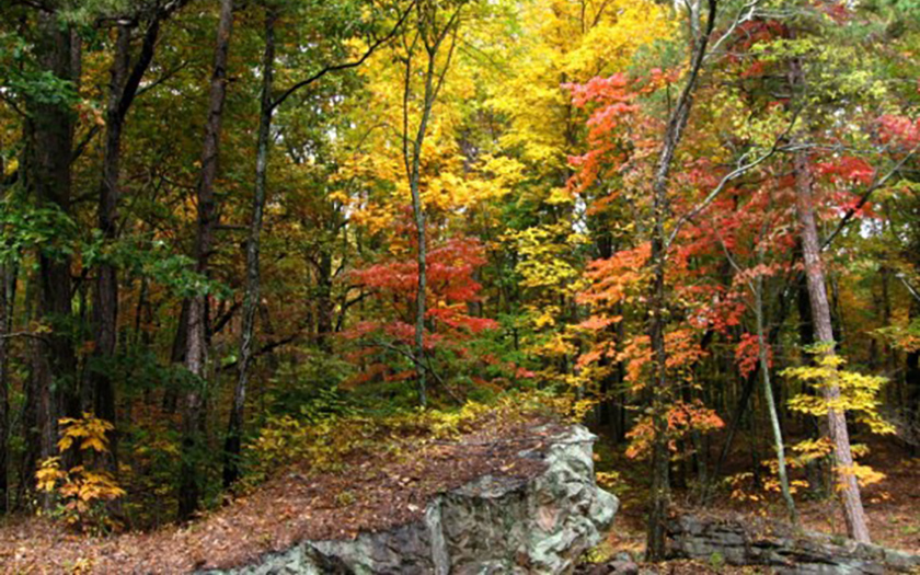 Fall at John Wilson Park