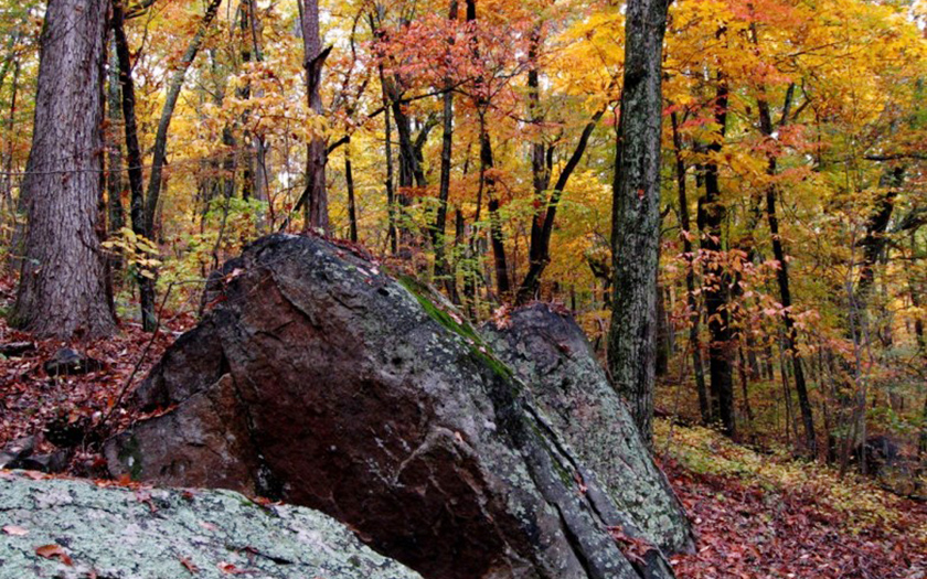 Fall on Guild Hardy Trail