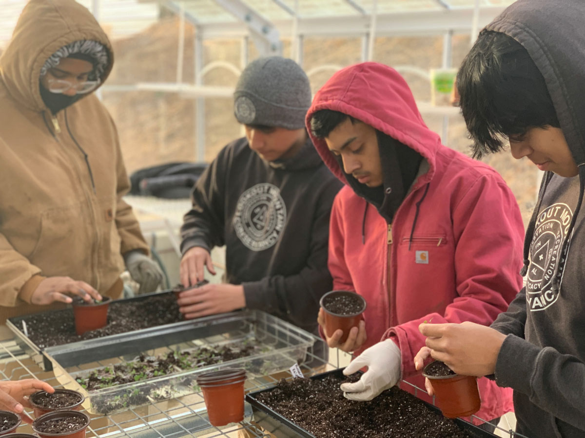 A young man in a pink hooded jacket plants seeds in a greenhouse surrounded by three other young people.