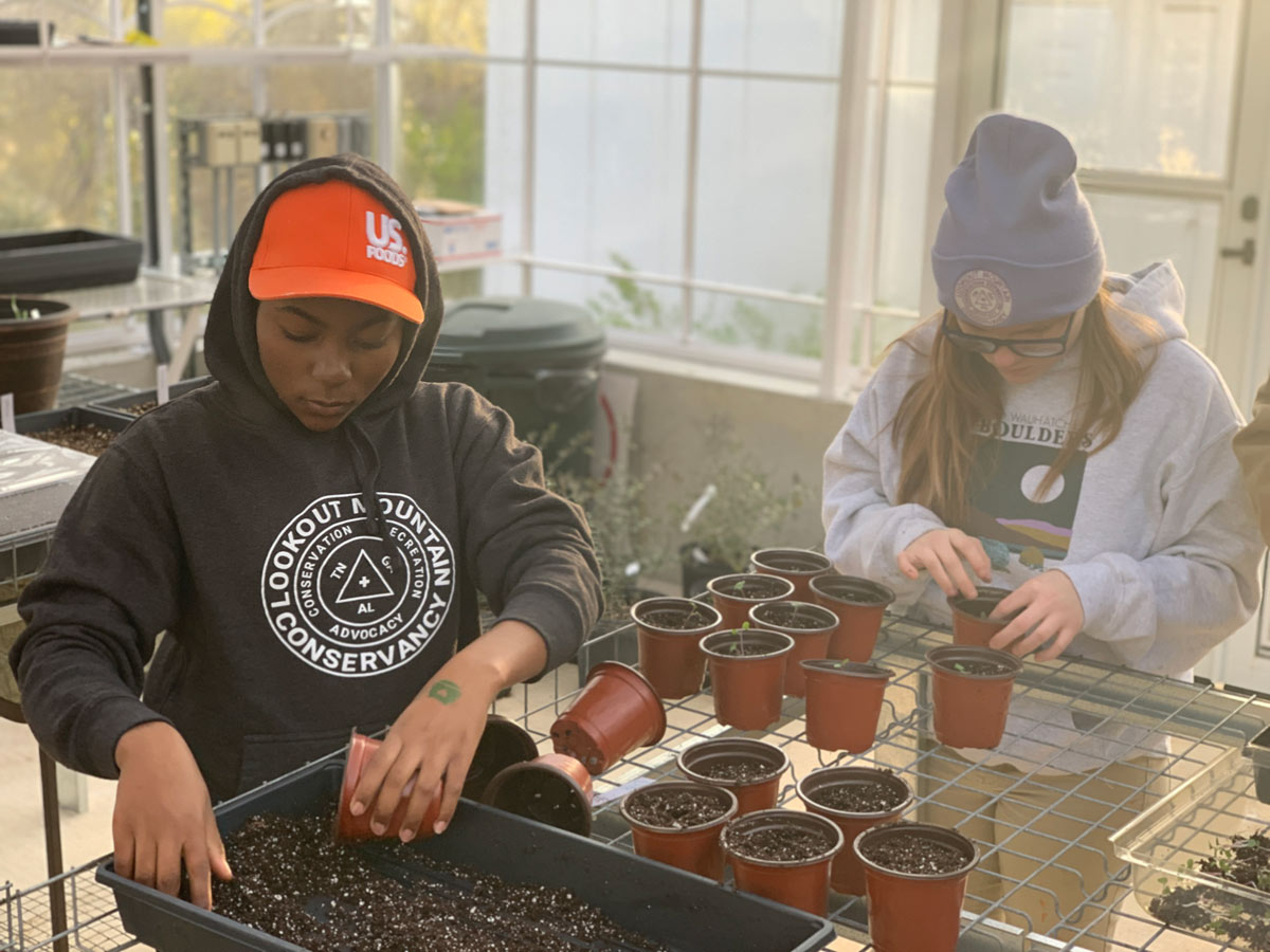 An African American teenaged female in an orange cap and a white teenaged female in a beanie pot plants in a greenhouse.