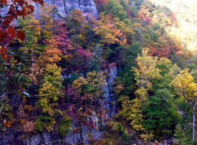 Lula Lake Land Trust, fall colors looking into the gorge