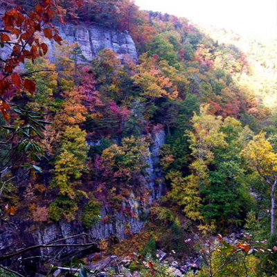 Lula Lake Land Trust, fall colors – Lookout Mountain Conservancy