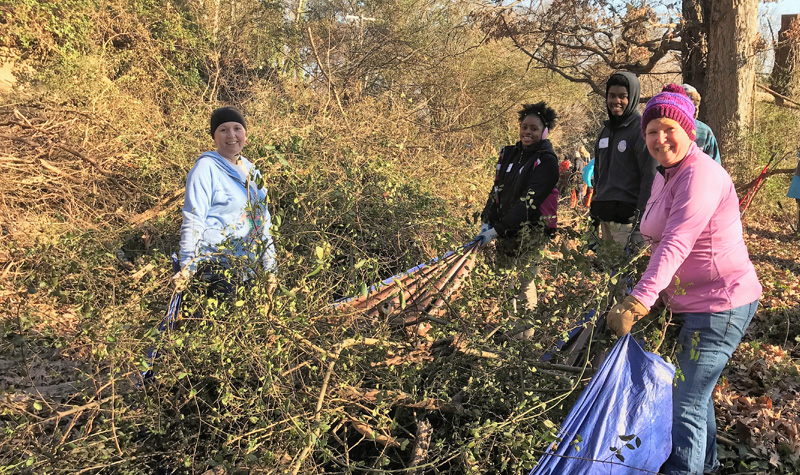 MLK day of service volunteers and interns working together to drag a tarp filled with brush that has been cut