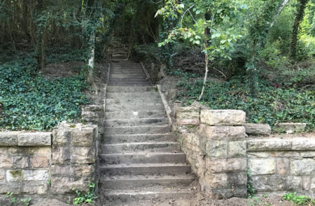 Old Stairwell on OWP, surrounded by invasive English Ivy