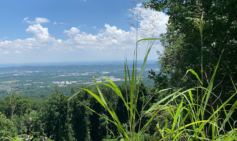 Overlook of Lookout Mountain