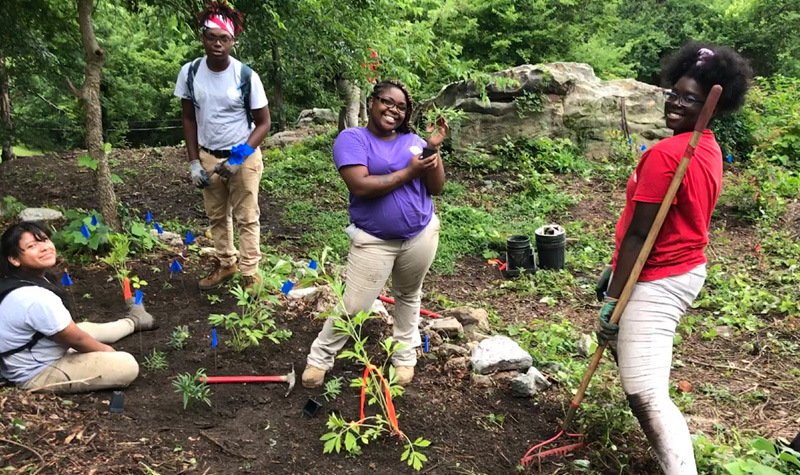 Interns in the pollinator garden where they have recently planted native species