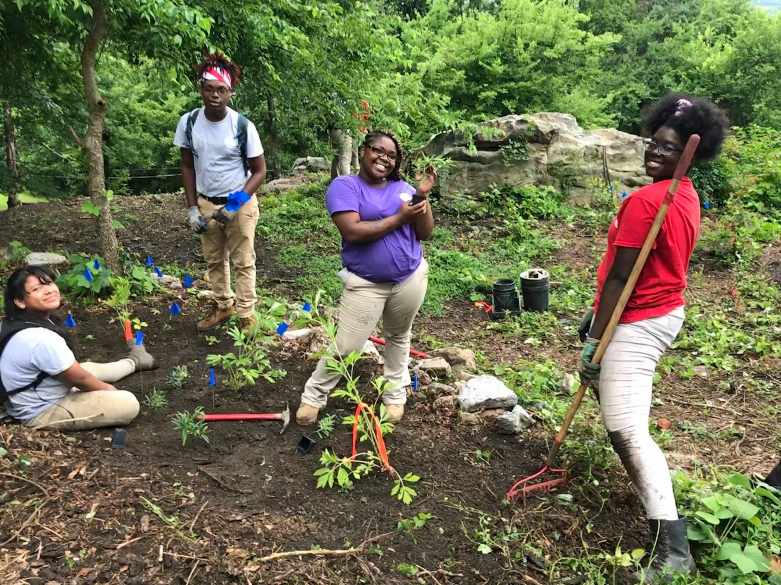 Group of LMC Interns planting