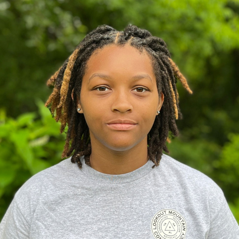 Headshot of a black teenage girl with highlighted locks wearing a grey shirt in front of a forested background