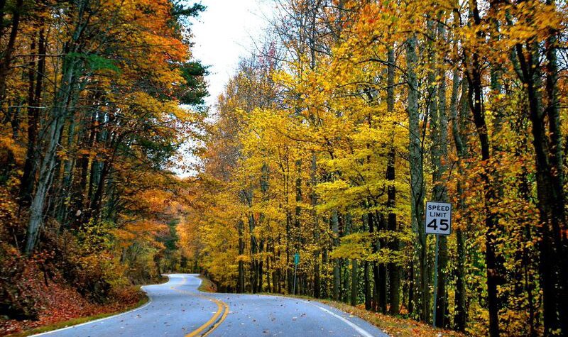 Fall Colors along Road Way