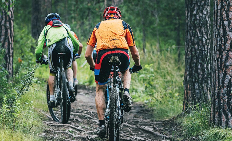 exploring the woods on two wheels