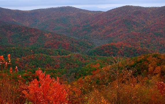 fall overlook