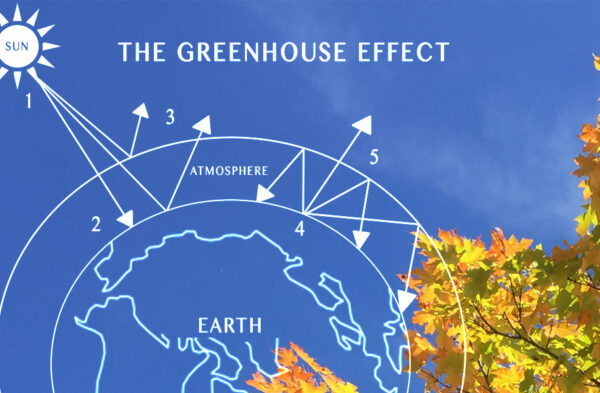 Carbon Offset Program