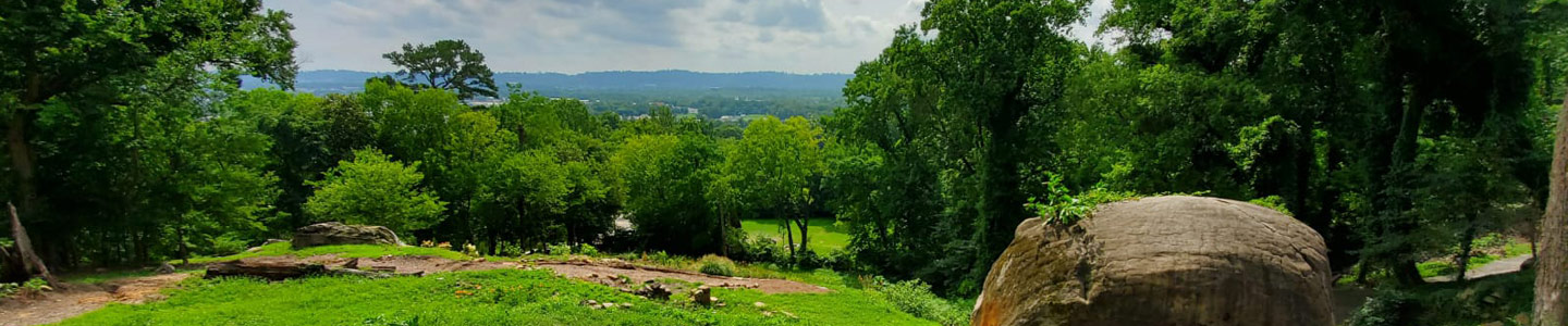 Garden Area