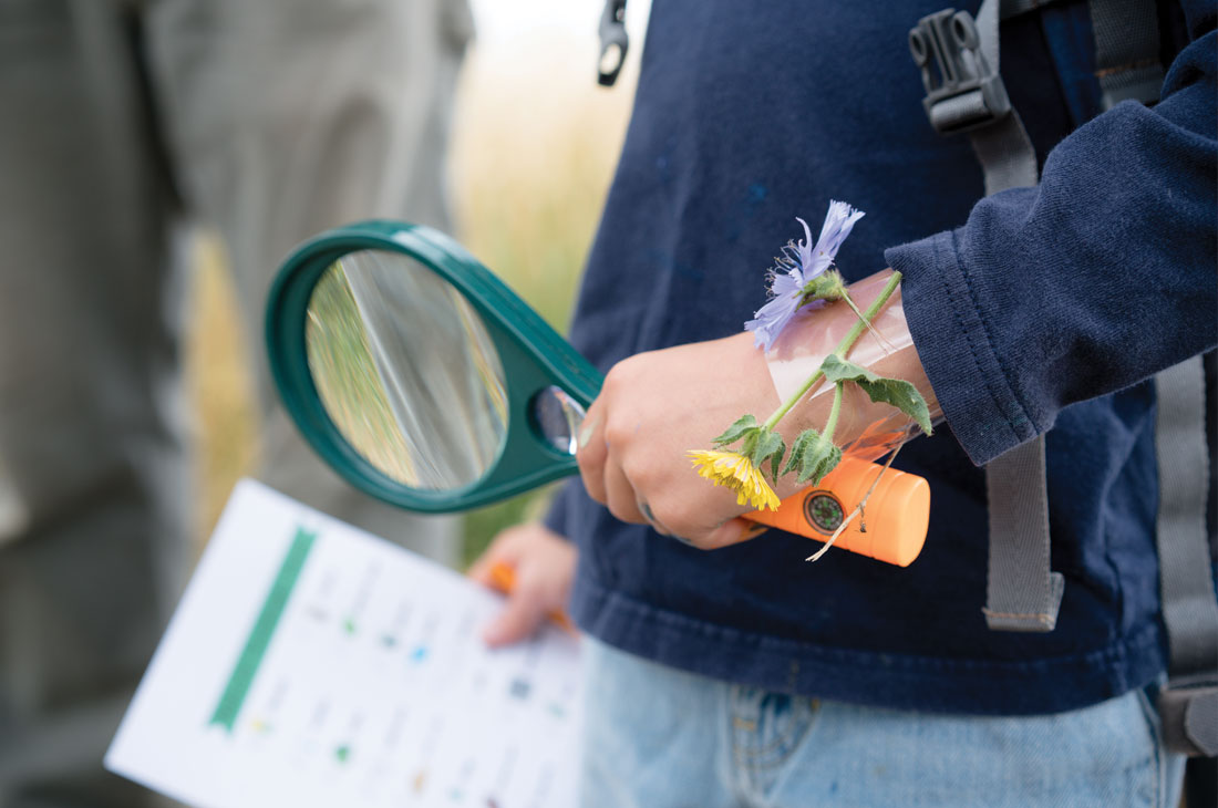 kids explore outside