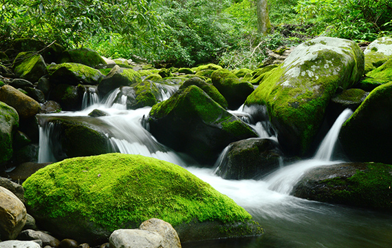 waterfalls